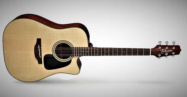 TAKAMINE P2DC